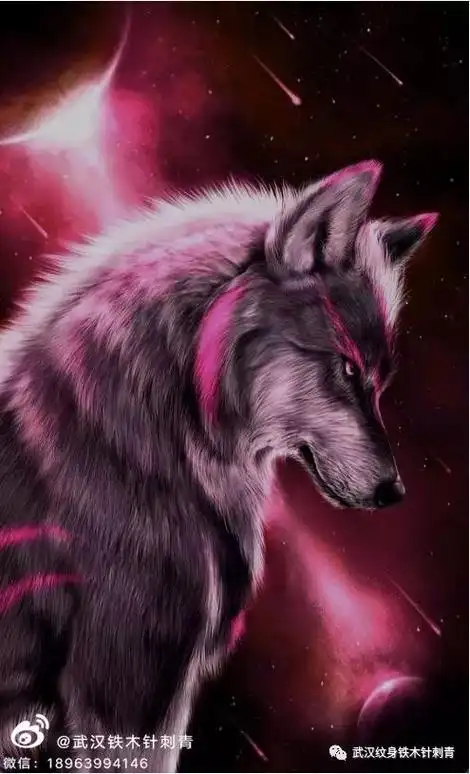 我把狼的精神视为我人生学习的榜样所以把它纹在了身体上你是否和我一