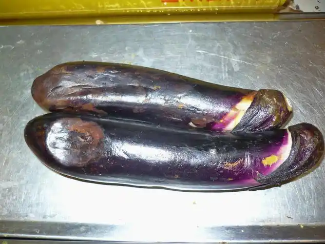 蔬菜采后技术系列之三十四专家支招茄子冬季采后管理