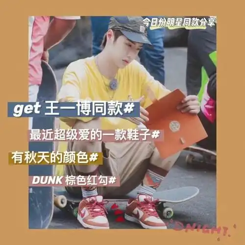 nikesbdunk棕色红钩王一博同款