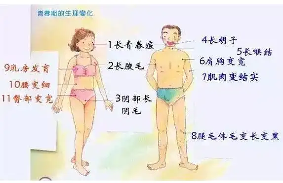 终于从小毛毛长成了有毛少年可是你真的懂你的那些毛吗