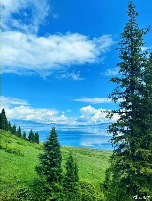 壁纸 风景 摄影 桌面 690_909 竖版 竖屏 手机