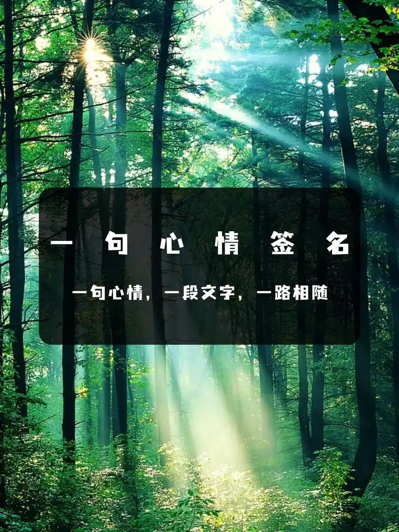 一句心情签名.一句心情,一段文字,一路相随 #图片文字 #情 - 抖音