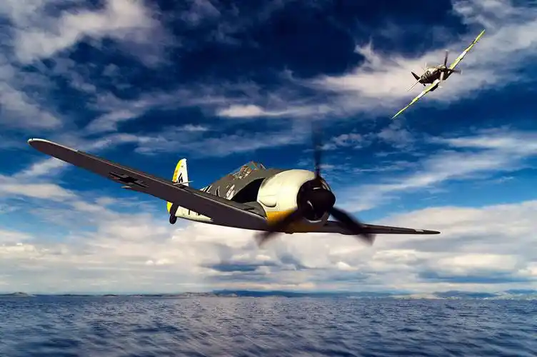 该型战斗也是德军针对不同的战场而研制通用型飞机,主要用于德国的