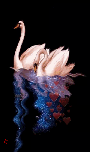 美图 浪子自创5d动态gif--人物篇--3