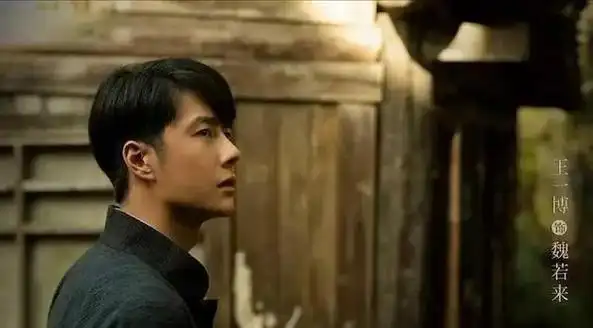 苏辞书就是一个爱孩子,爱丈夫的贤妻良母,没有什么秘密使命;阿文也就