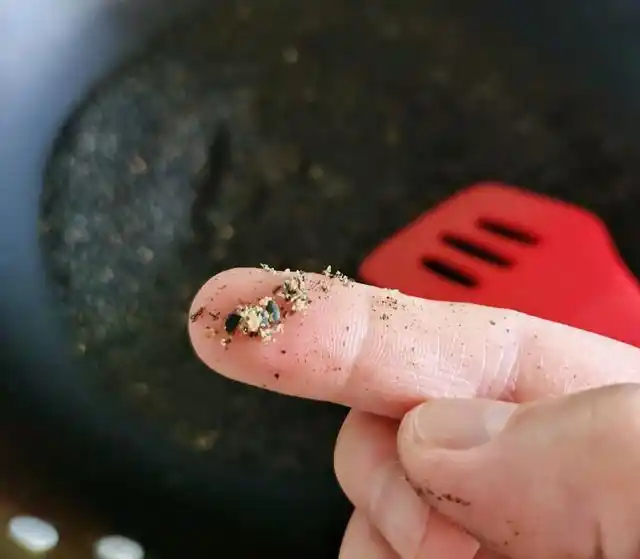 黑芝麻最近火了不烤不烙秃头女孩必备干香味甜还乌发
