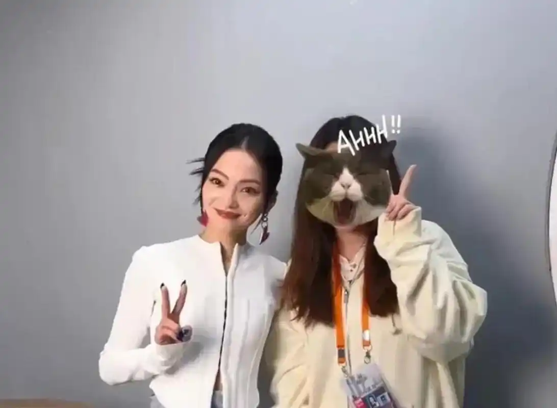 gif创作人# 张韶涵1.