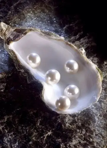 珍珠是海洋文化的重要体现,是彰显的尊贵身份象征,活动现场将展示珍珠