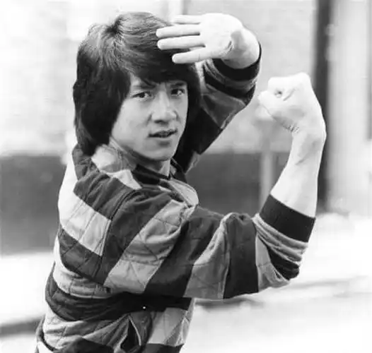 1999年,林凤娇致电成龙后,大哥放弃分手念头还奉上一半家产_陈港_邓丽