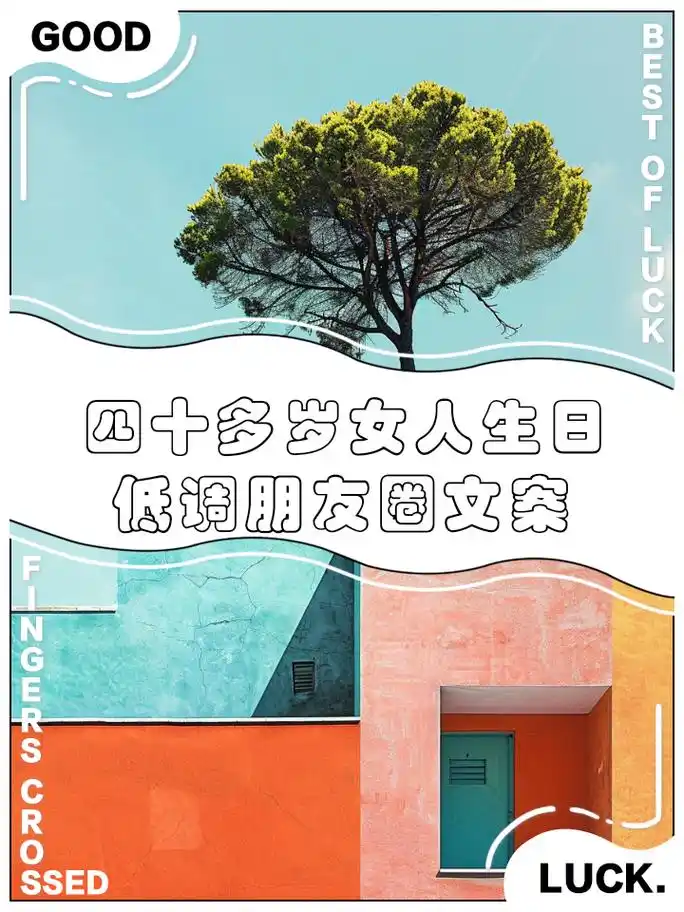 四十载春华秋实, 不惑之年更显韵味 2.