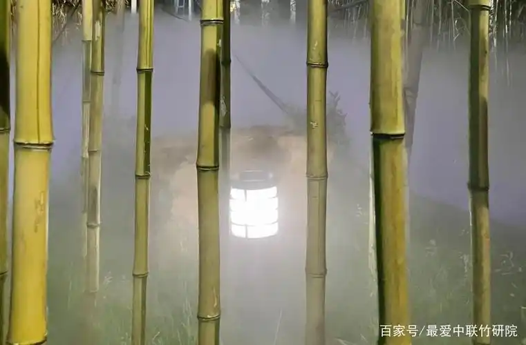 电影《十面埋伏》取景地之雄安分景