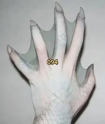 素材分享094.一组美人鱼的身体结构参考#procreate - 抖音