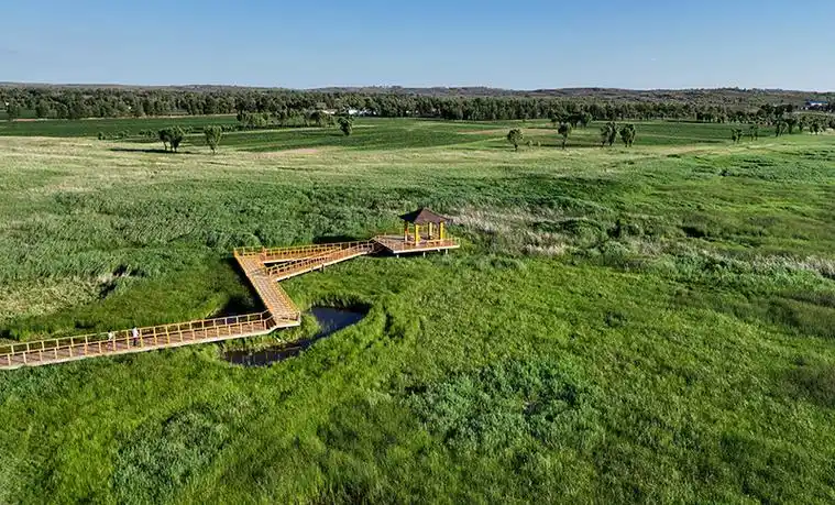 陕西神木荒漠之地蜕变美丽草原