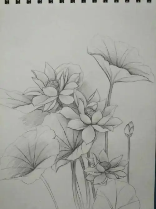 铅笔素描物体画简笔画