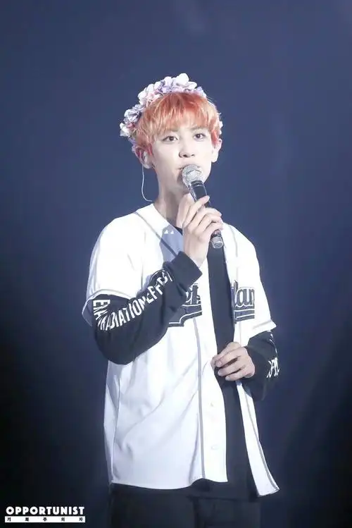 朴灿烈 exo三巡the exordium in 首尔演唱会