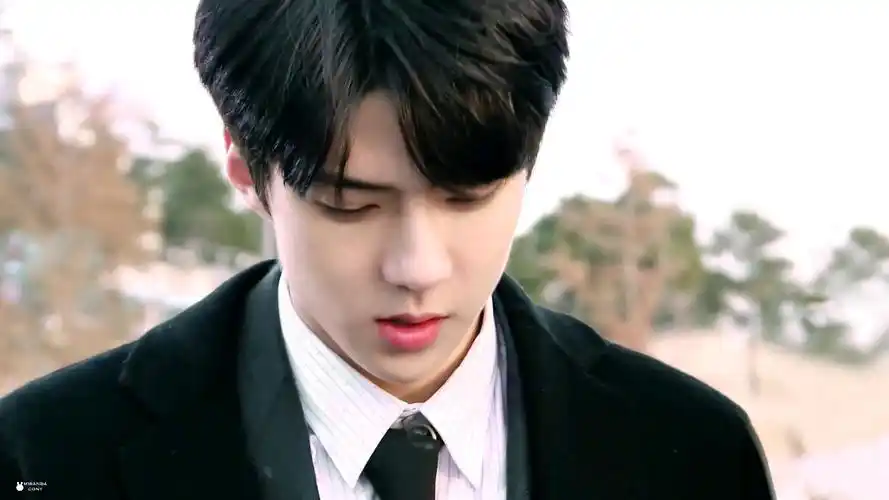 所谓清心寡欲〔吴世勋/腹黑男友