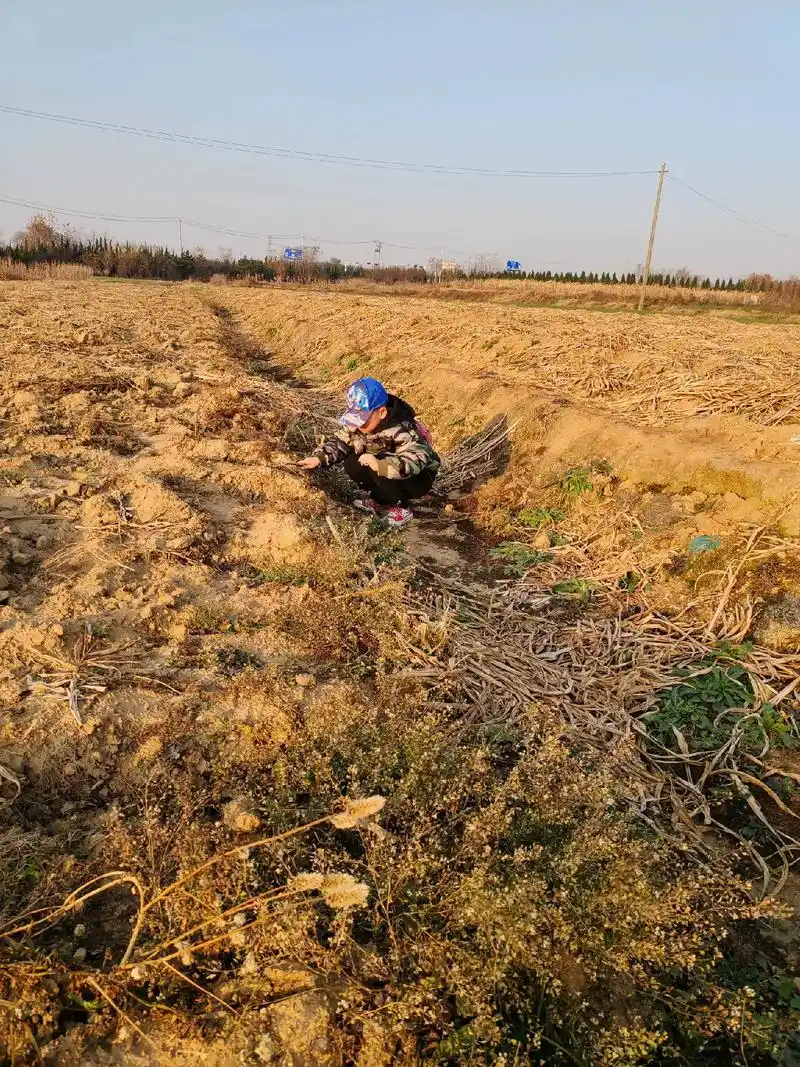 领孩子体验农村生活