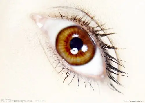 眼- 堆糖,美图壁纸兴趣社区