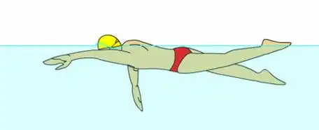 自由泳标准动作讲解,献给正在学自由泳的您!