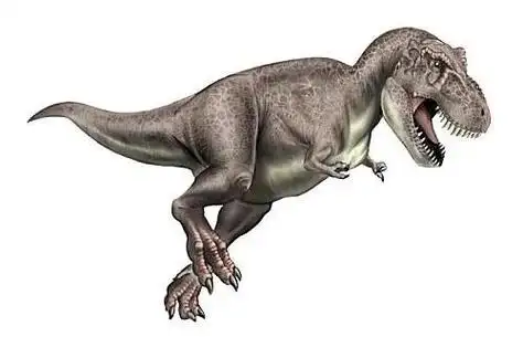 动物世界:恐龙家族中的霸主——霸王龙