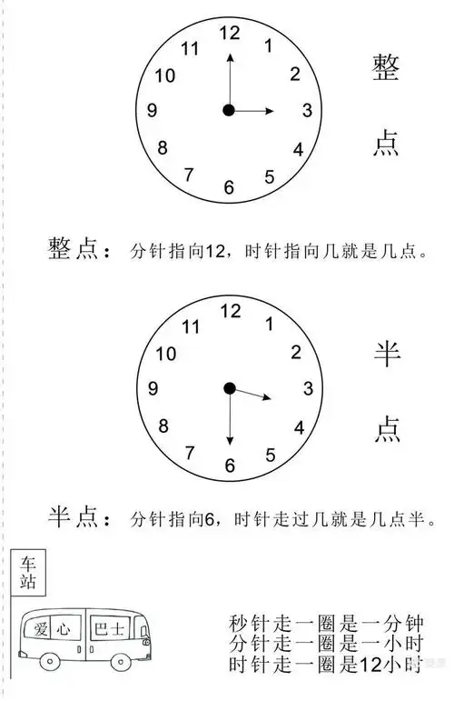 数学:认识整点和半点