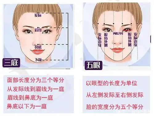 "三庭五眼"指什么呢?初学者必学的化妆基础