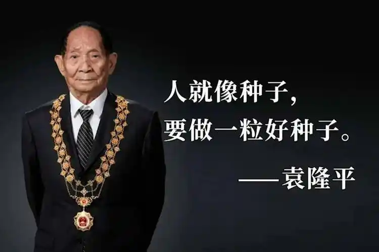 鲁豫采访名场面:提问袁隆平是否认识周杰伦,当场打听袁老存款数额_老