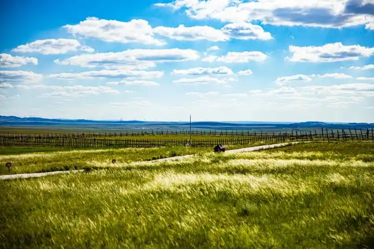 内蒙古的大草原
