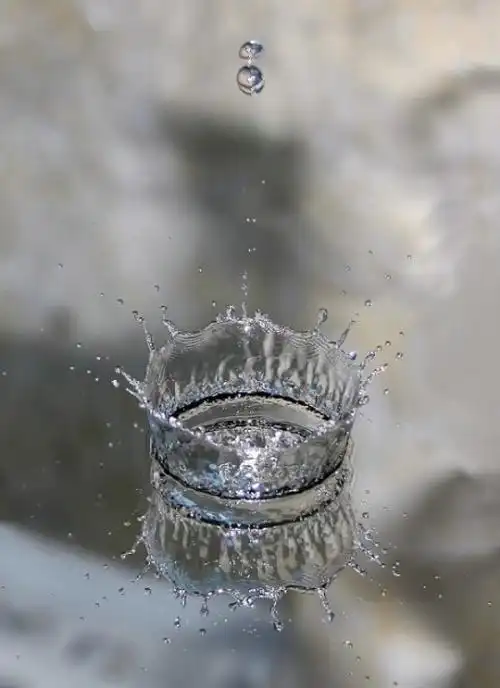 一滴水滴落的瞬间,像皇冠一样,很美