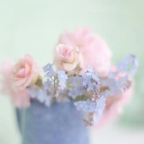 小清新唯美治愈系静物清新伤感图片 -意境图片-唯美图片大全