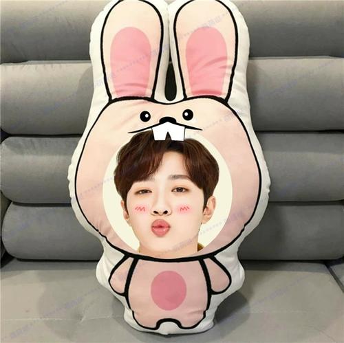 照片定制赖冠霖人形抱枕来图diy异形枕头q版卡通真人玩偶生日礼物