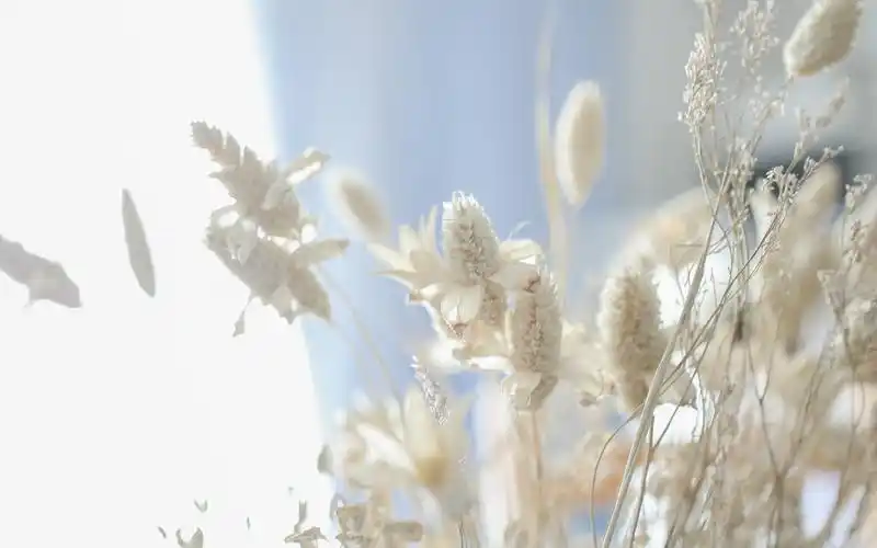 现代简约家居静物摄影图片电脑壁纸高清大图预览1920x1200_家居壁纸