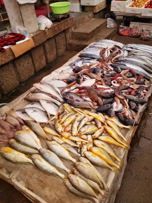 威海的菜市场之海产品