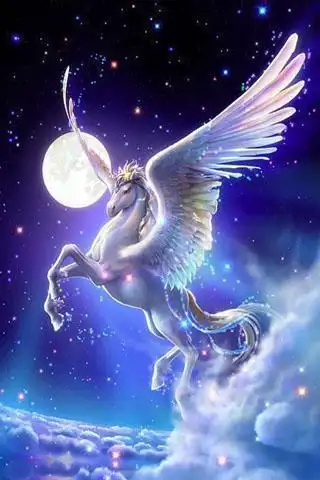 小马宝莉简笔画独角兽飞马