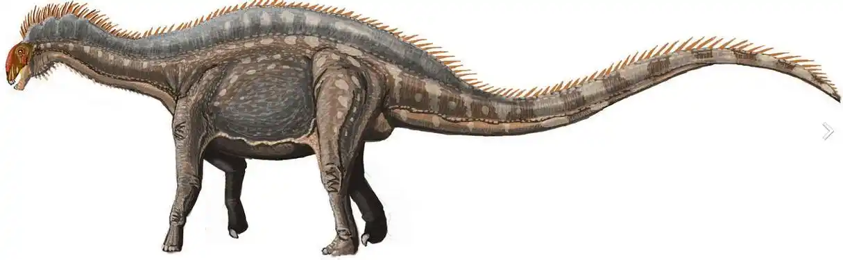 "/item/梁龙超科/1823027" data-lemmaid="1823027">梁龙超科 /a>恐龙