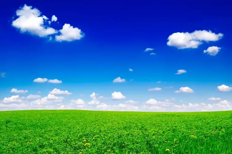 蓝天白云绿草地田野希望的田野绿色卡通蓝天草地学校招生简介大学学校