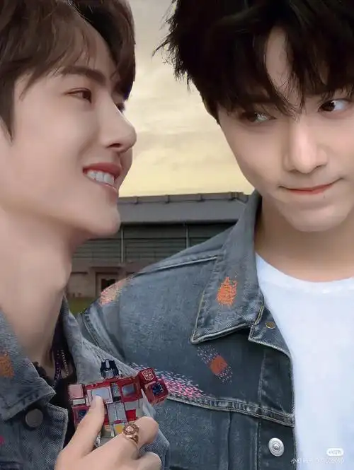 一个舞台一部电影都好#肖战  #博君一肖  #王一博 #博君一肖是真的