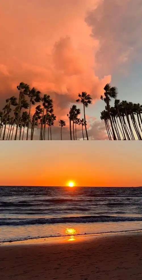 易烊千玺ins#易烊千玺眼中的世界,ins和绿洲合集,千玺拍的照片都太有