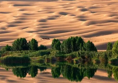 把塔克拉玛干沙漠变成草原,应不应该,值不值得?