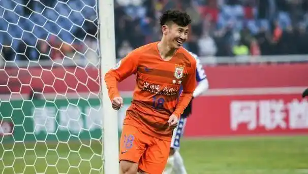 山东鲁能队史十大国内代表球员