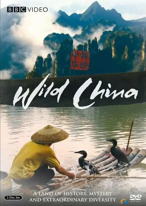 《美丽中国》