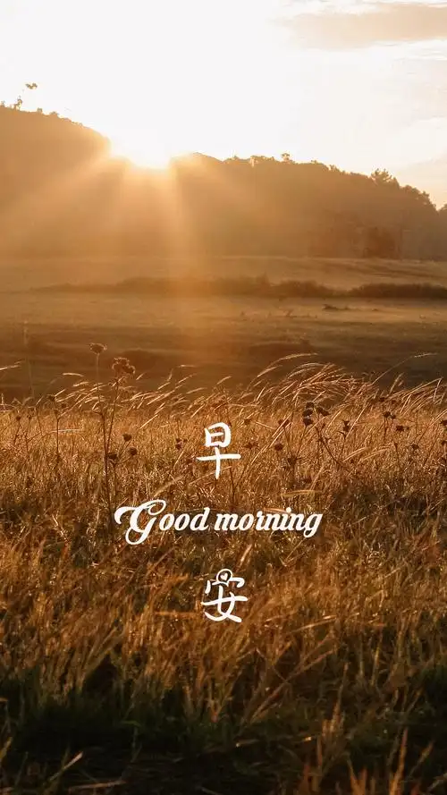 带字,早安,带字,清晨,阳光,手机壁纸早安美好的清晨