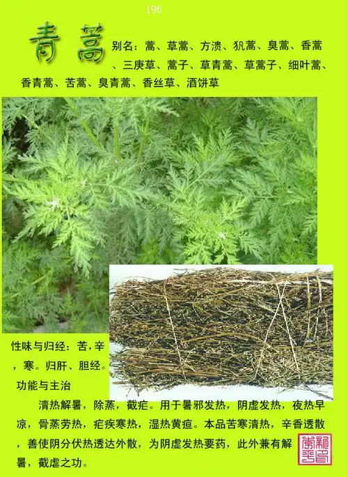 转载中草药300种图谱