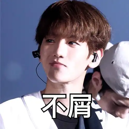 exo边伯贤表情