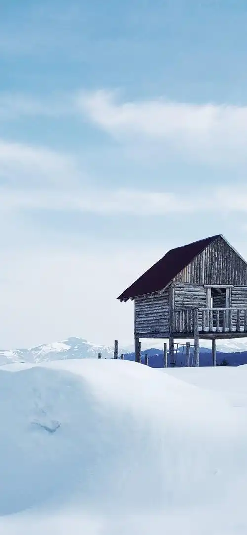 纯净冬日雪景高清手机壁纸_风景_手机壁纸下载_美桌网