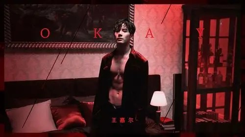 一年的努力和忙碌自然收获很多,让更多非韩饭圈的人都知道了"王嘉尔"