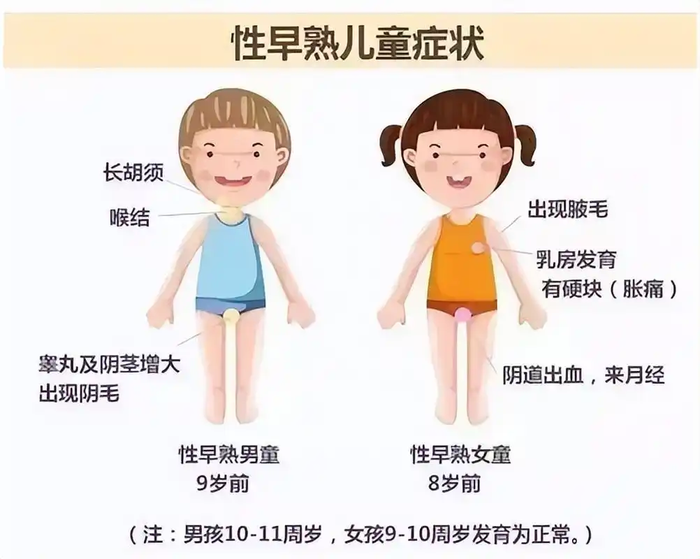 12女孩子的胸部图片(青春期发育后还能长个吗) - 赤虎壹号