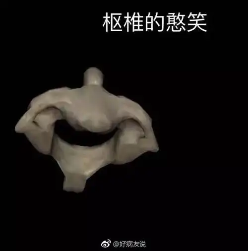 医学生专用表情包右边一定有一条美狗子长了一脸络腮胡子的喵这……这