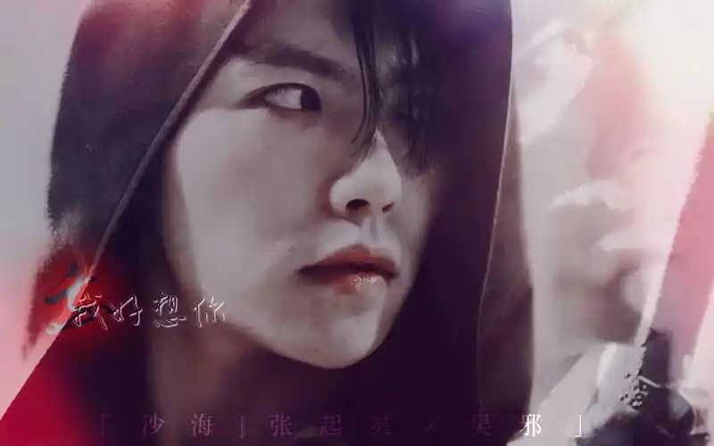 沙海瓶邪我好想你这十年来的每一天我从没停止过想你张起灵吴邪