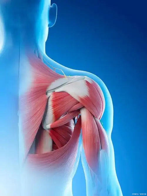 肩关节术后疼痛到底是怎么回事